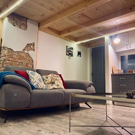 Central Cluj Loft Apartment ภายนอก รูปภาพ
