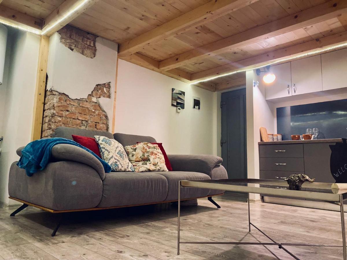 Central Cluj Loft Apartment ภายนอก รูปภาพ
